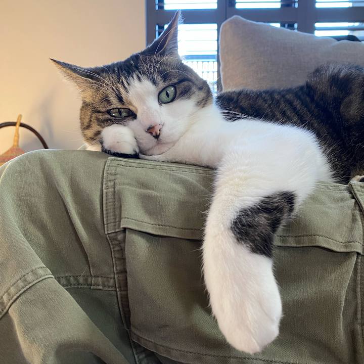 97cbc182 9960 44da 924f f64a0db1c071 1739154566648