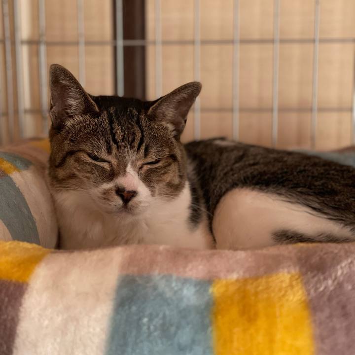 97cbf0a7 fff2 4c63 8759 a0b4724b5d46 1660529523589