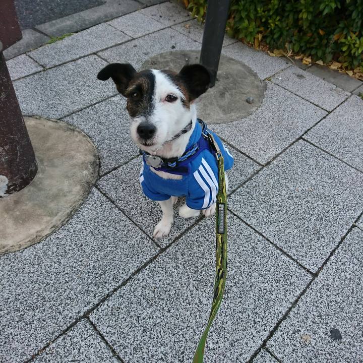 97cc012b 6824 4619 8bd5 84e896e46e38 1513893967757