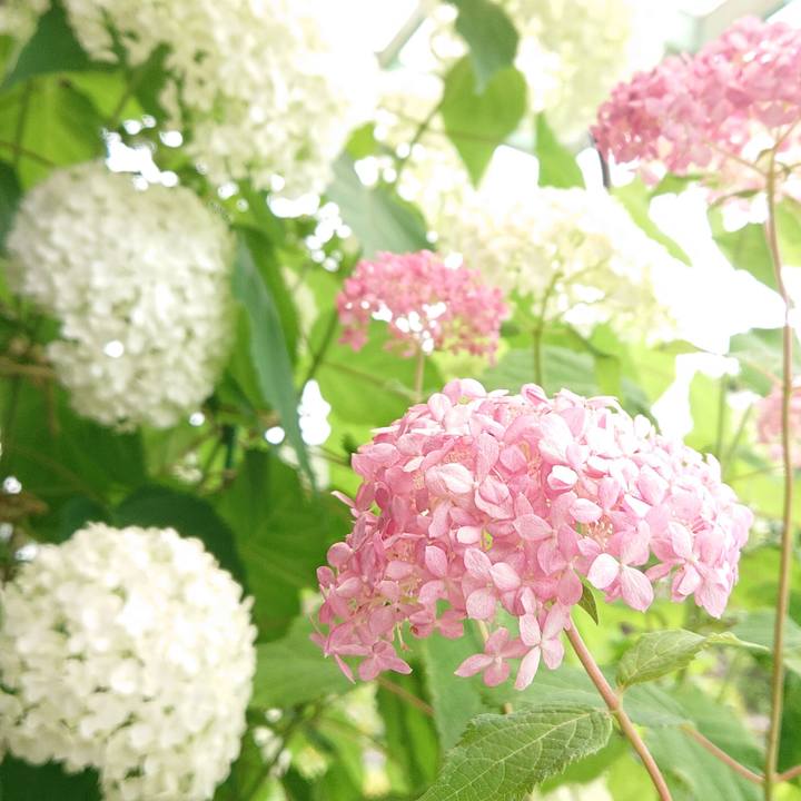 97cc0589 47f6 459e afaa 4cfbb0b8c072 1622947065914