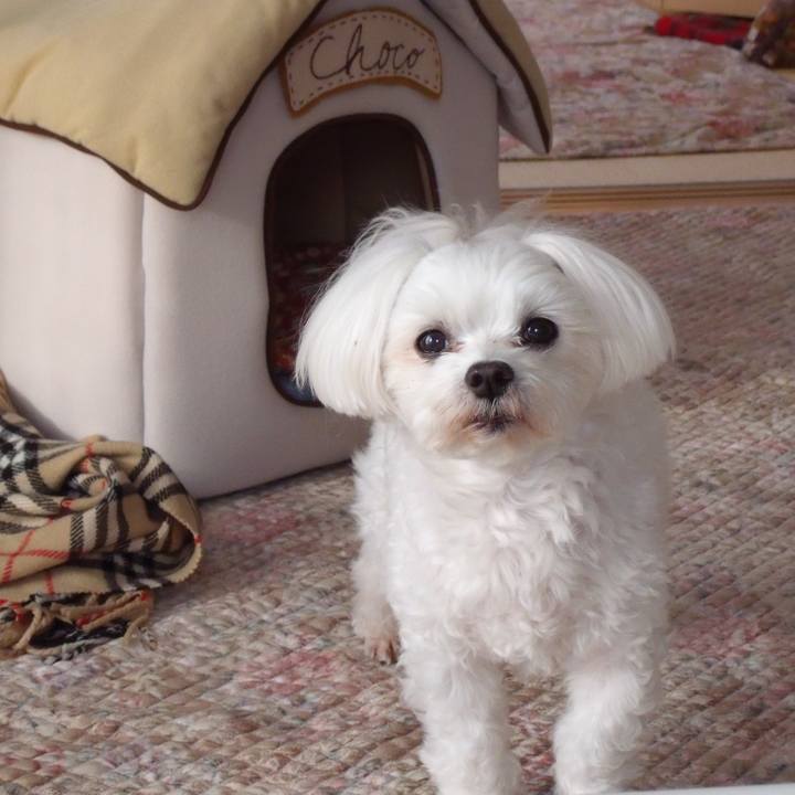 97cc0df0 b1ad 441a b896 a720165af733 1635177659758