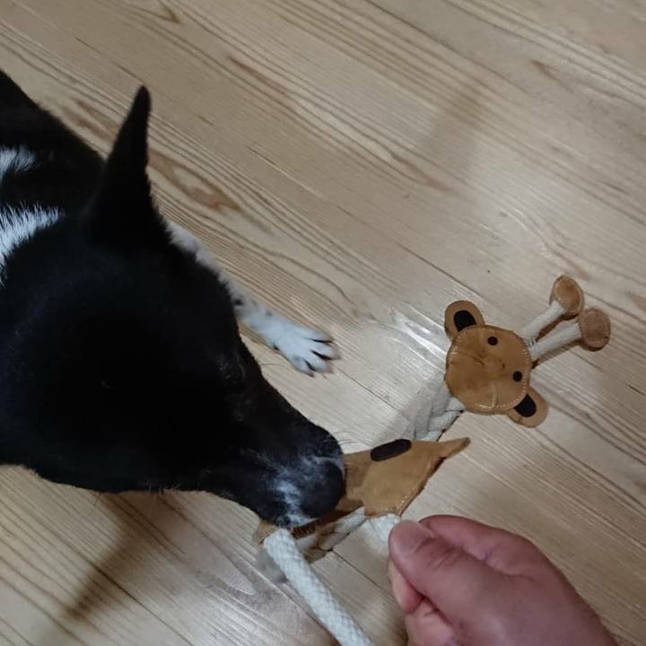 97cc1821 69a6 4388 8dda a375f70624d0 1625746452714