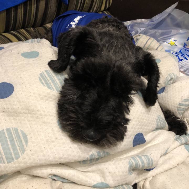 97cc4f02 e429 4e76 aa78 2173ffb67e42 1535543117025