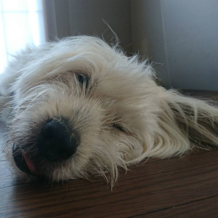 97cc5989 fc73 4297 9577 a754a314f683 1614509333229