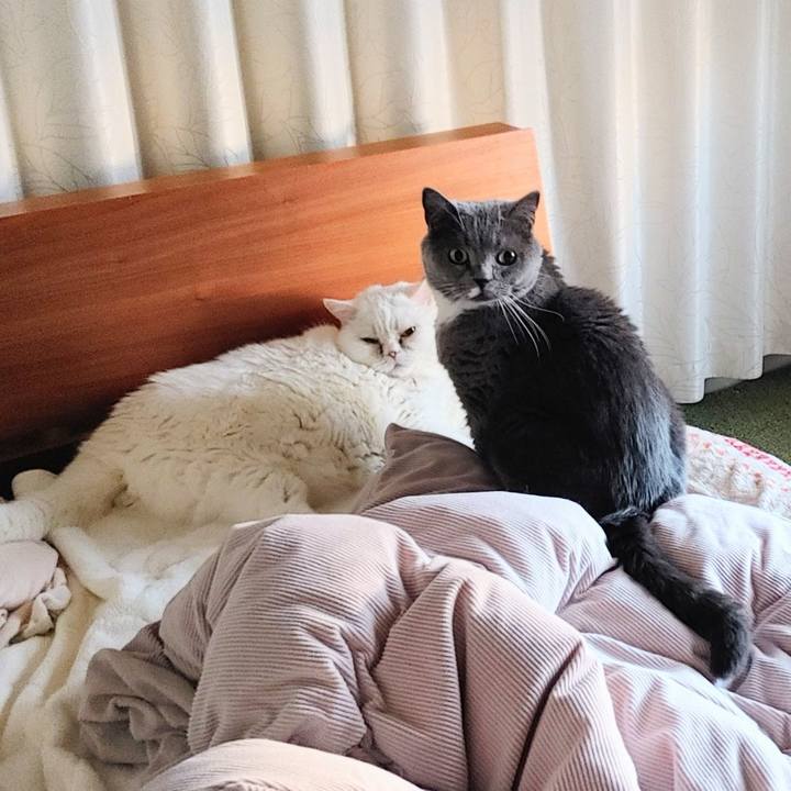 97cc7be6 aa5c 46e4 b11c 6a05c3a8c79a 1769399270062