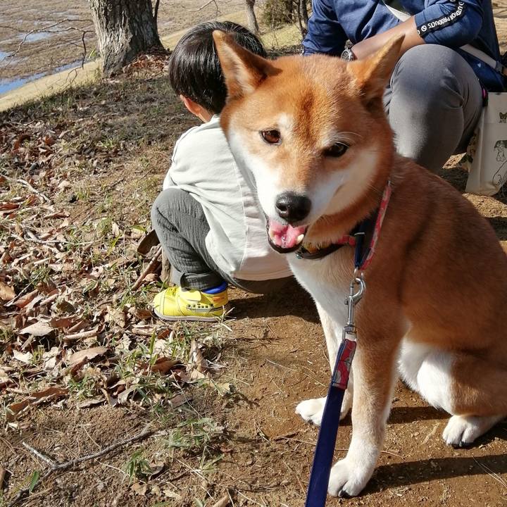 97cc8e1c c20e 462b 8b96 b6f8d9ff2bbb 1613903944499