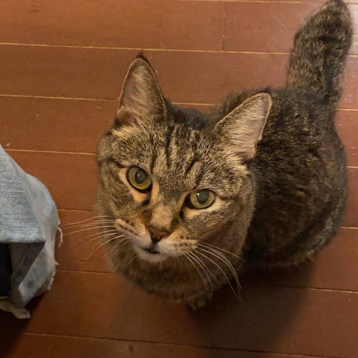 97cc9b66 0c91 4275 89b4 b8930c76a219 1756442493363