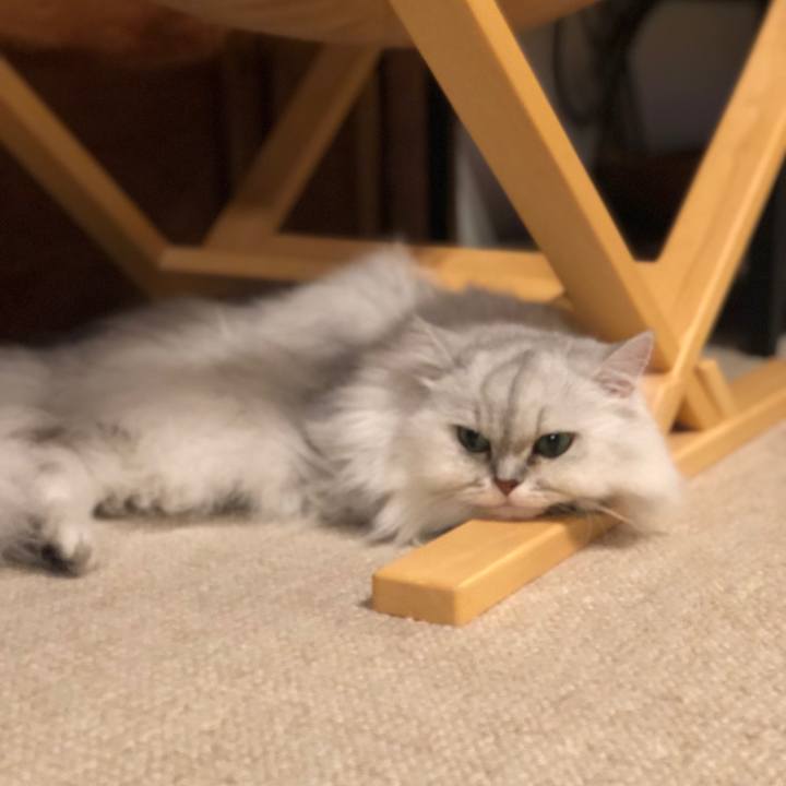 97cc9e59 52e4 47b3 871f e5d9bd4cba4a 1632181988808