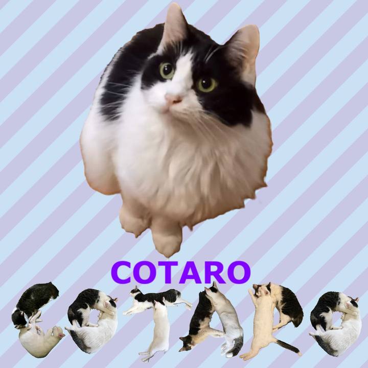 97ccbc4e 97af 42a6 b727 d600fab62cf8 1668513691077