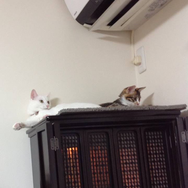 97ccbf81 86a5 4396 b450 bb44b77eb53d 1628372398404