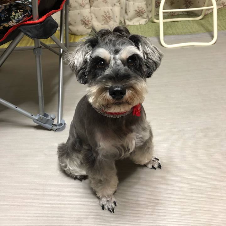 97cd2437 ea06 4631 8711 02e84b3b201d 1566302187697