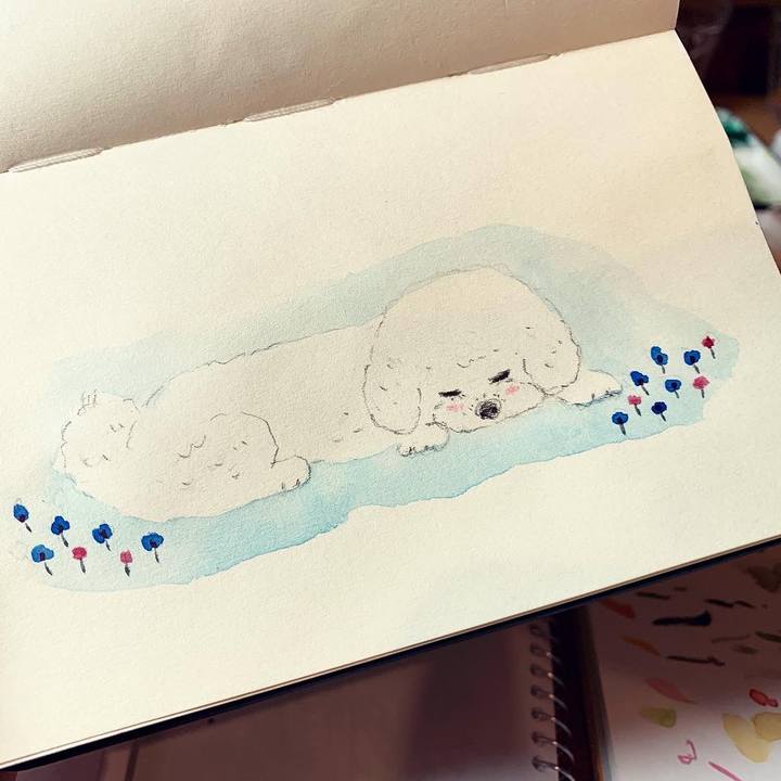 97cd32c2 788b 4c62 985d 0d51a54e152f 1644144214751