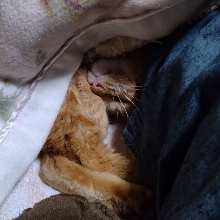 97cd4c5d 58ba 4799 8ee1 83b2ec601a4d 1670847701245