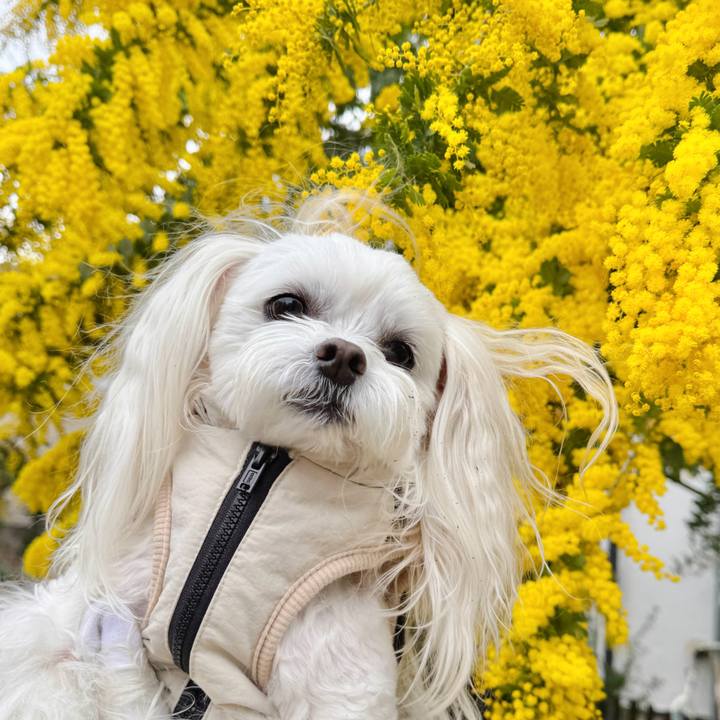 97cd8659 ca51 4f37 9c48 51514b5aa81e 1741254538479