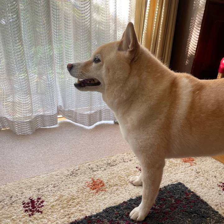 97cd8953 7f49 4911 bcd6 5c117fce94cd 1725487331918