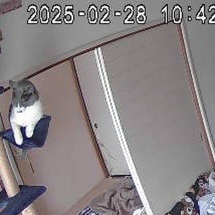 97cda4bb 138f 4ed2 bc77 24799359ddeb 1740707038785