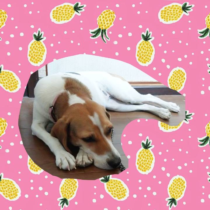 97cdb76d 587e 4265 b4ba ee0c081e3bb3 1598931761025