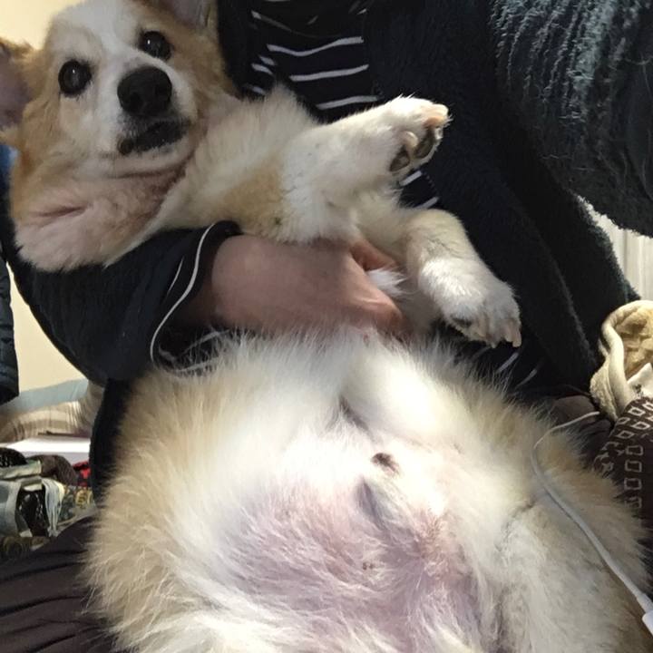 97cdbff6 d6b5 424c 9321 d56c895acbf4 1578958621847