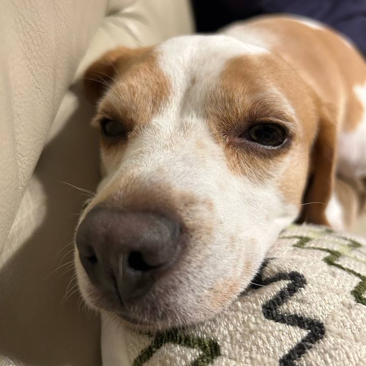 97cde106 8537 4749 a1ab 4fbee6070e79 1679228502773