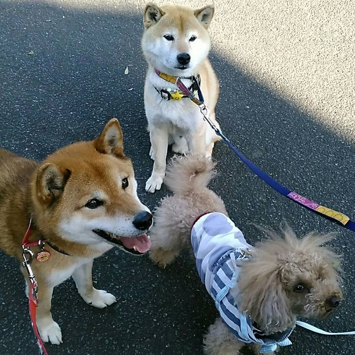 97cdeaff cf47 405d 9a83 6d5c7f6ddbb9 1557316216295