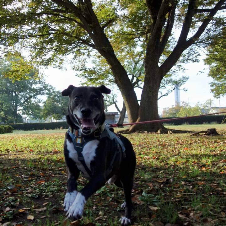 97cdf209 c810 4b0f 8111 2e38e6795fa5 1730765240025