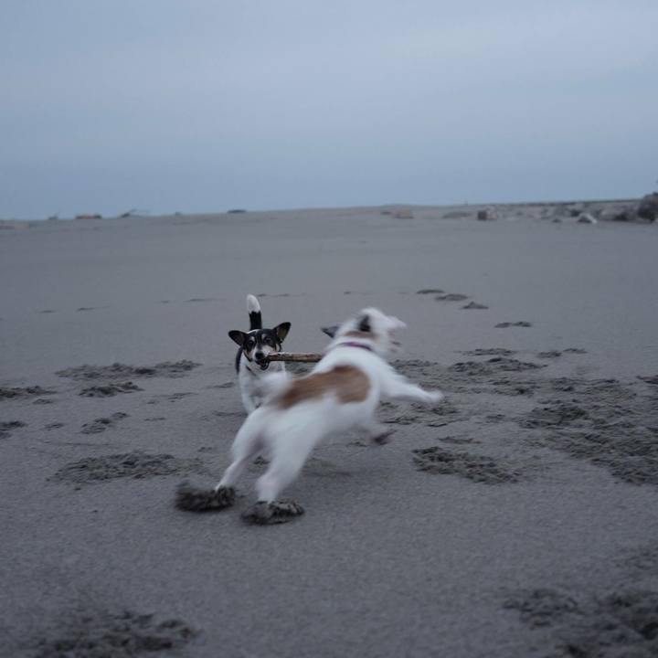 97cdf6d7 4c6d 4e1f b101 7e94090a8664 1510980405872