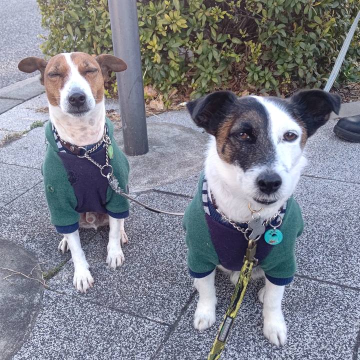 97ce2d57 5115 4963 aa1b 22b556c83e53 1677021644125