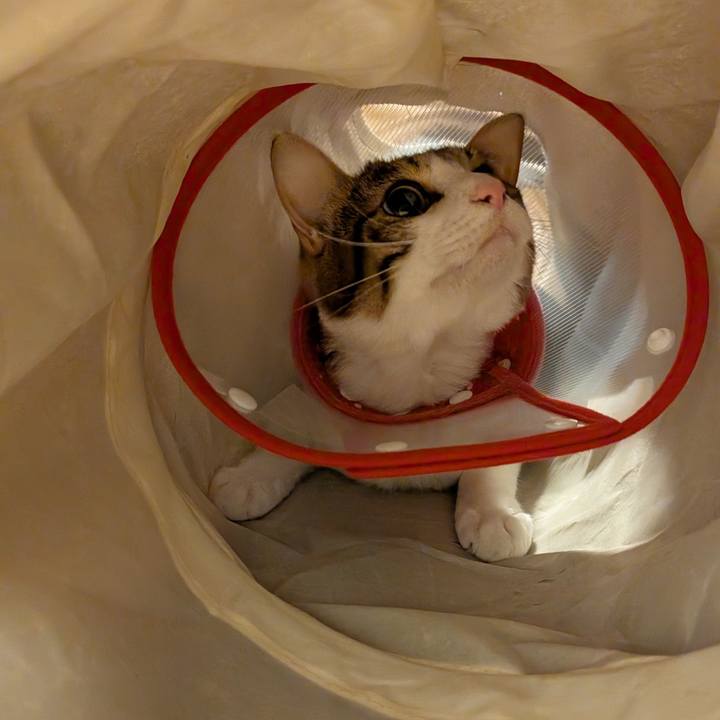 97ce60ca 7070 4fa1 b1a6 0b98edba71cb 1775003737857