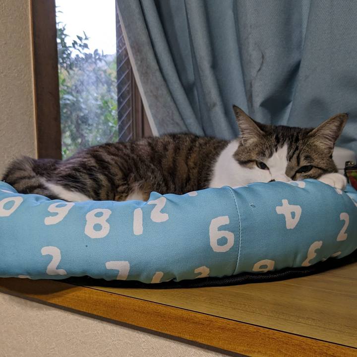 97ceb6b1 530c 4fbf 9f54 beaf2b45340a 1711924549547