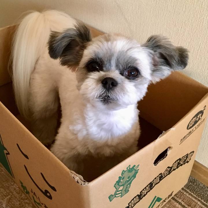 97cecd3d 5f65 483f b3ad 44049df49359 1540769134658