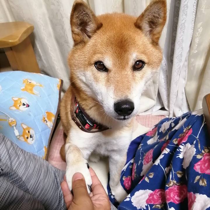 97cee033 6191 4fcf 8dea 3a061e89e9e6 1640093888122