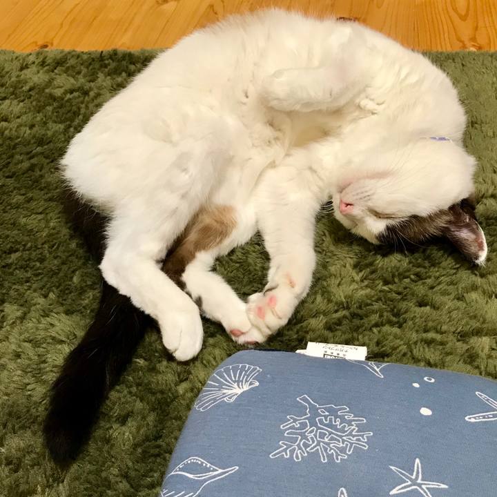 97cf37df 14e5 47dc bffc 7c757c5418eb 1563958513189