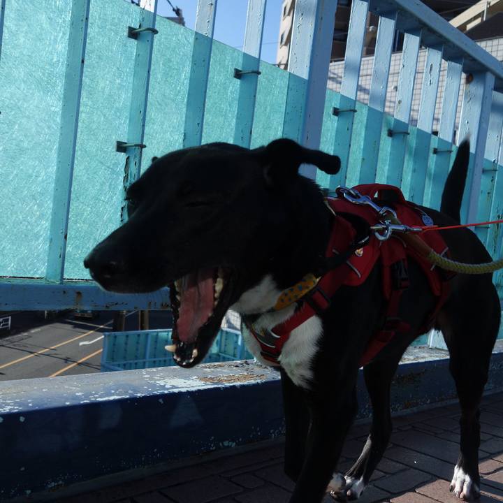 97cf5a03 7e3b 492a 8ce2 4184d1c7257a 1584232163260