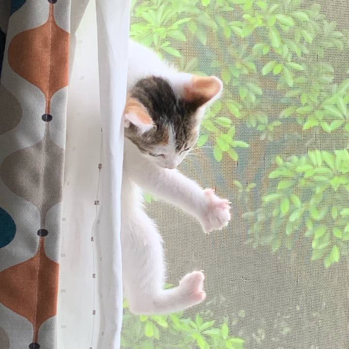 97cfaa2c 7386 4aaa 83ee 860506ff41b6 1591407754317