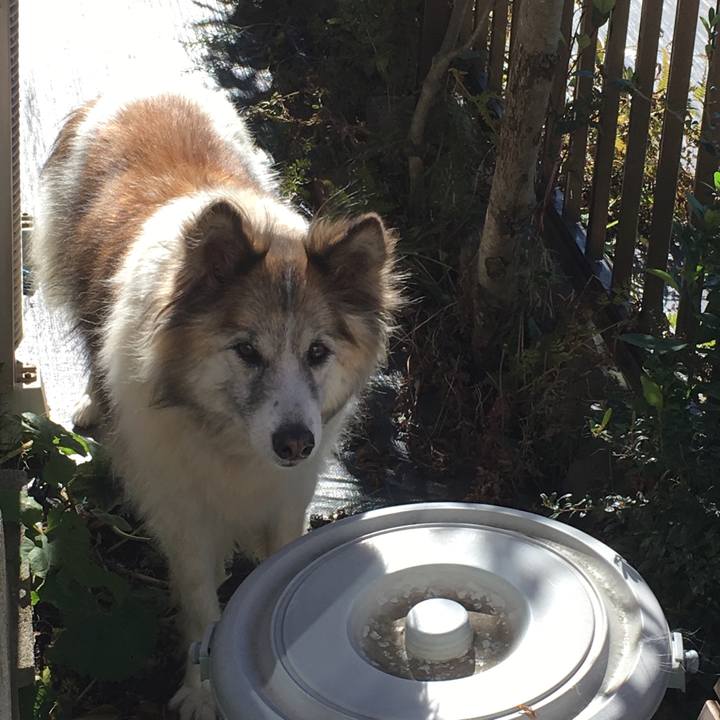 97cfaeaf 9850 4fc2 9ca6 7e94c6296de5 1512742018291