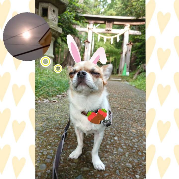 97cfd756 3c37 49e2 a595 4f2d26314ebb 1591403337172