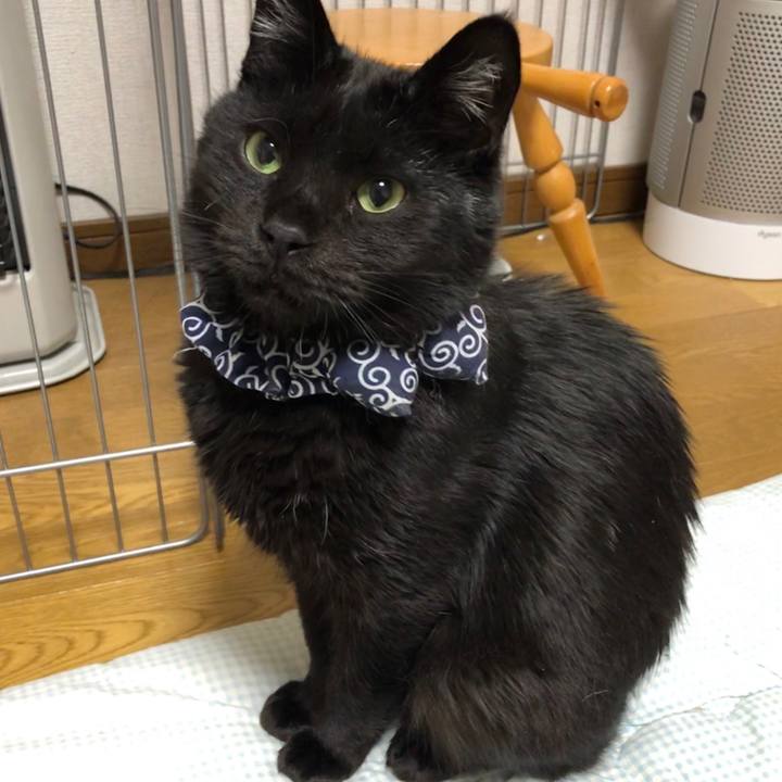 97d0173c feb2 483d 8697 0d7543ea5b55 1578487873326