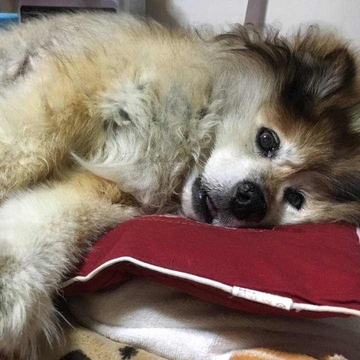 97d02490 21ce 4bd2 ab82 10bc71a7fb74 1562921214264