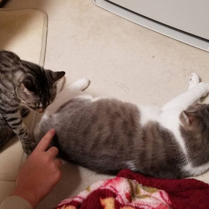 97d04628 7313 4ca5 ad17 8700d0db1048 1675090772045