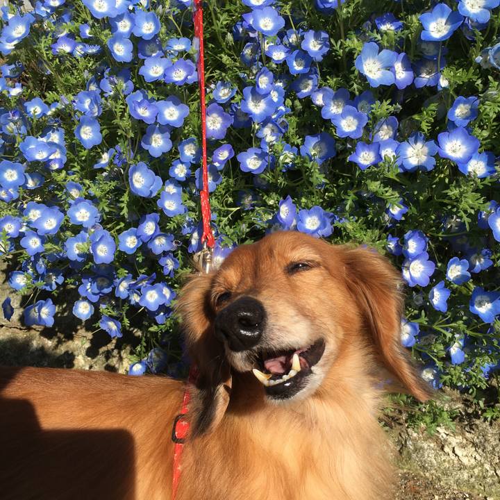 97d05398 a7e3 4313 a7ed a14cbbb3827d 1587290969977