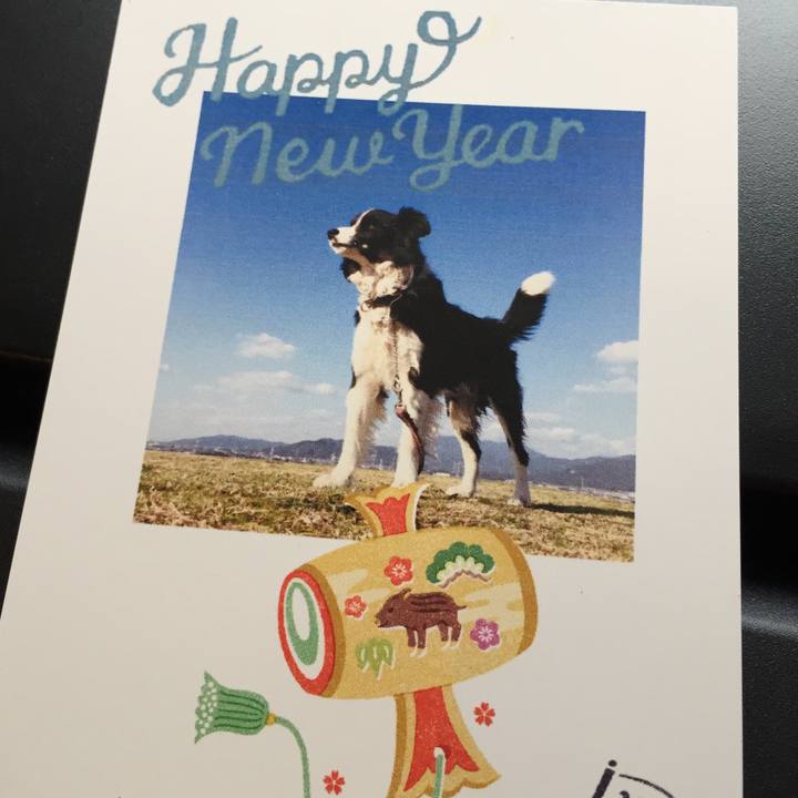 97d0a6ed 3a36 4b17 97a0 a5253e0292fd 1546318788159