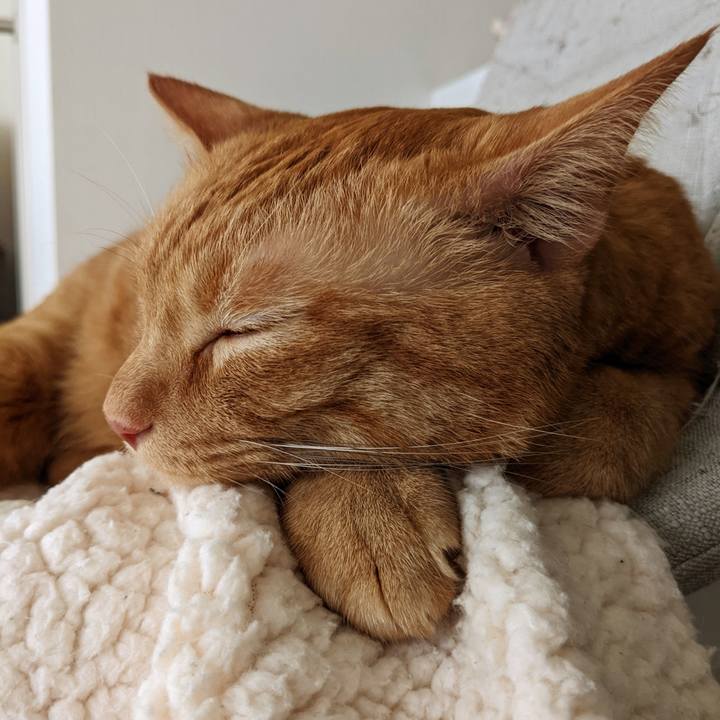 97d0d44f 011a 4675 96c6 055333a7a6d7 1658373017902