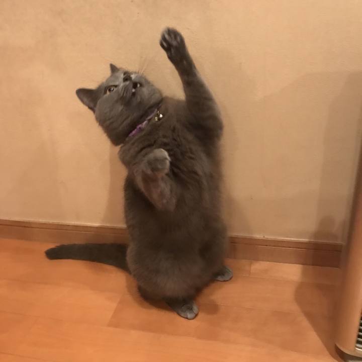 97d10e7f 5592 4e7e a071 e214b4b82292 1625106519197