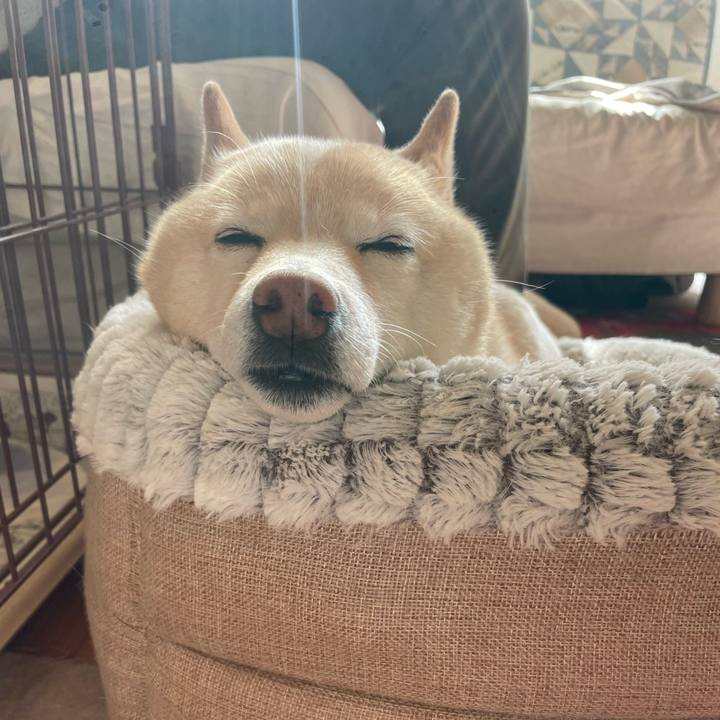 97d10fe9 53c2 4de8 b91d 206e802bef70 1740882018057