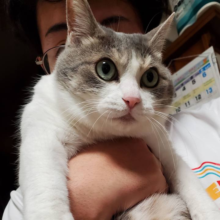 97d1134f 878d 4860 b379 e526d6f75cd7 1713234769120