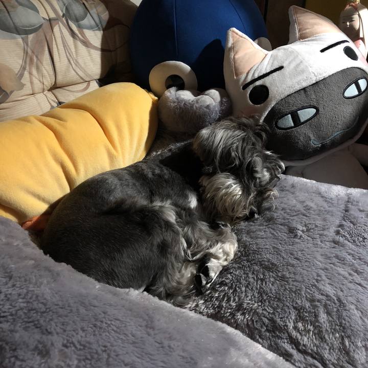 97d1285b 34d0 4c2f 9198 7e3166e6779f 1524490639269