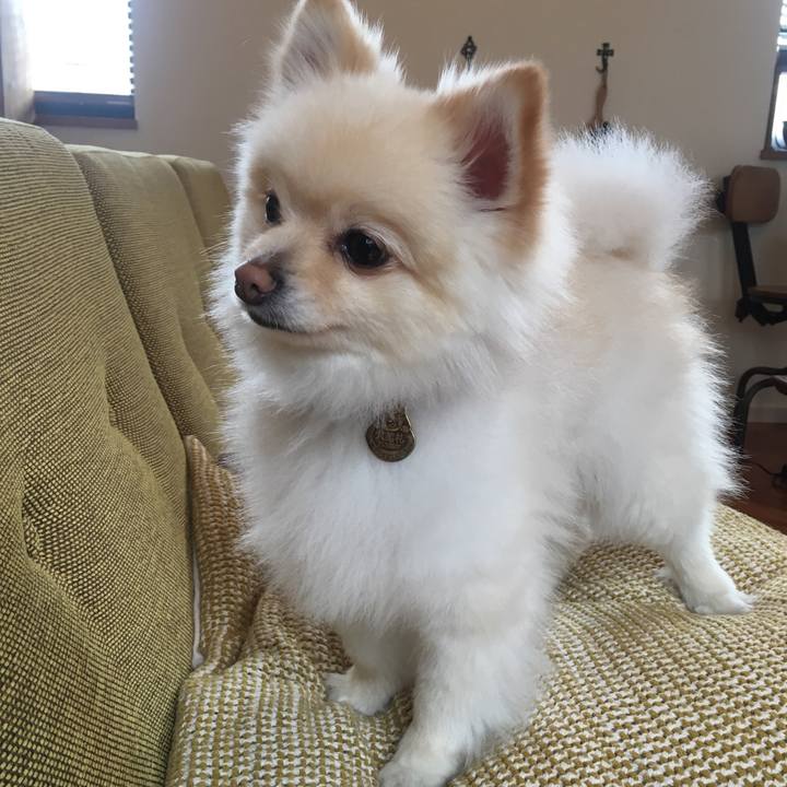 97d1521a 4d73 48b0 8911 da777327f9ef 1552803953415