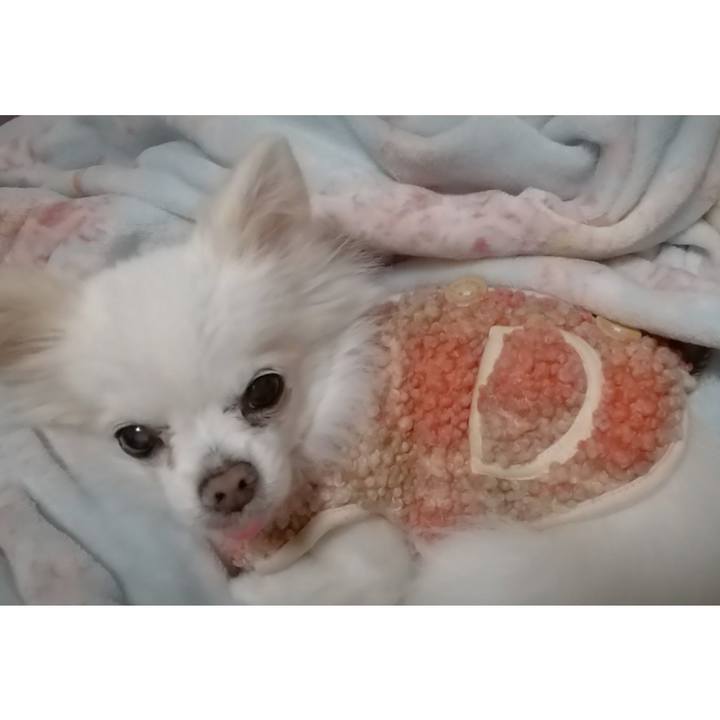 97d1766d 3740 4aae 9433 ba8084a422d5 1678018428922