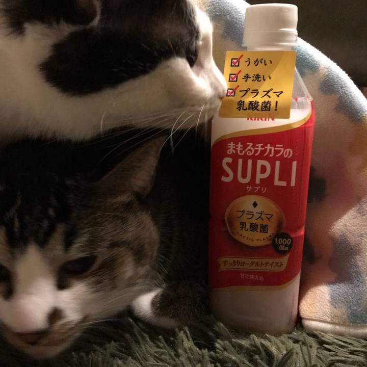 97d179a8 ae5b 4caa 802b 9015a83b0f7d 1512776520799