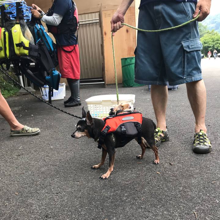 97d18018 1a3c 4e7c 9aef 734cdaa6926a 1565509719778